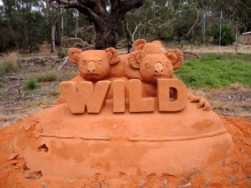 Koala Conservation Centre (7 January 2020) 19