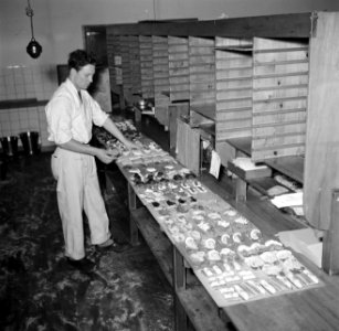Koks in een productie keuken bereiden grote hoeveelheden smørrebrød, Bestanddeelnr 252-9045