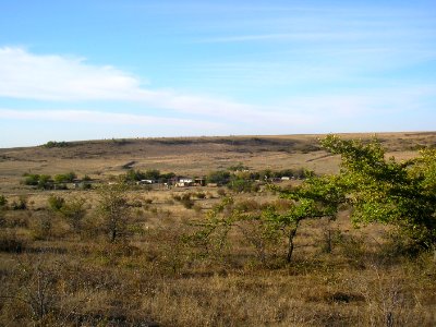 Kodzuk Ely 1