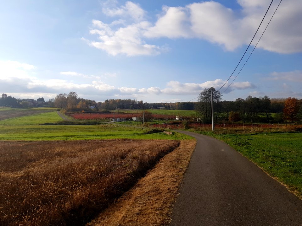 Kobyla, województwo śląskie (4)