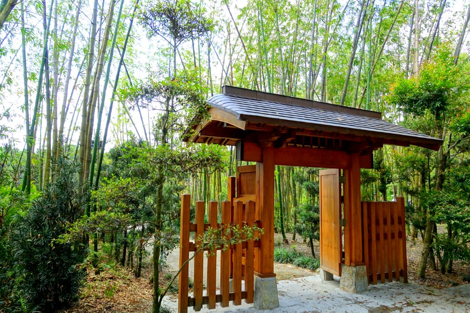 Kodai-mon - Morikami Museum and Japanese Gardens - Palm Beach County, Florida - DSC03334