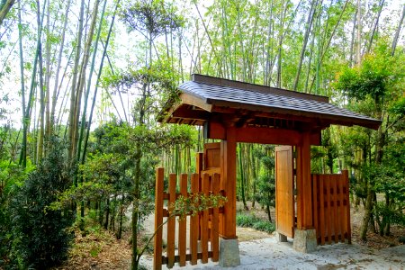 Kodai-mon - Morikami Museum and Japanese Gardens - Palm Beach County, Florida - DSC03334