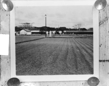 Koffieplantage, Bestanddeelnr 904-4292