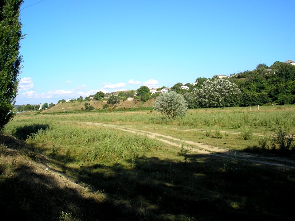 Kochkarel 15
