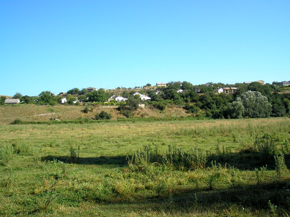Kochkarel 11