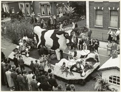 Koe van bloemen op een praalwagen. NL-HlmNHA 54011064