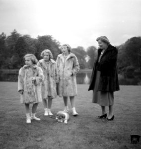 Koninklijk gezin op Soestdijk met hondje buiten, Bestanddeelnr 904-2784