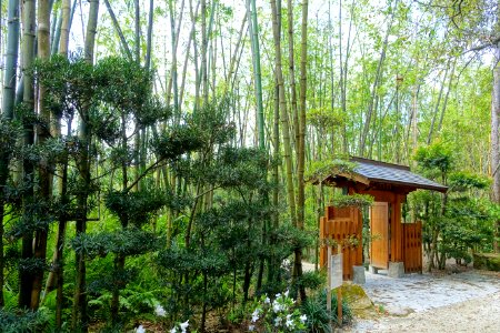 Kodai-mon - Morikami Museum and Japanese Gardens - Palm Beach County, Florida - DSC03332