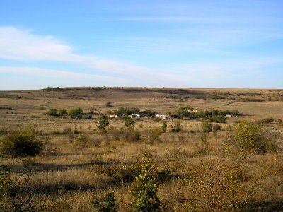 Kodzuk Ely 3