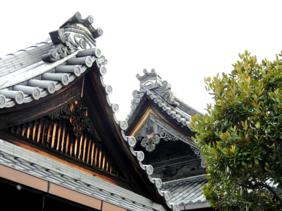 Kodo (Gyogan-ji) - Kyoto - DSC05864