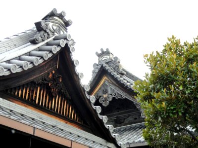 Kodo (Gyogan-ji) - Kyoto - DSC05864