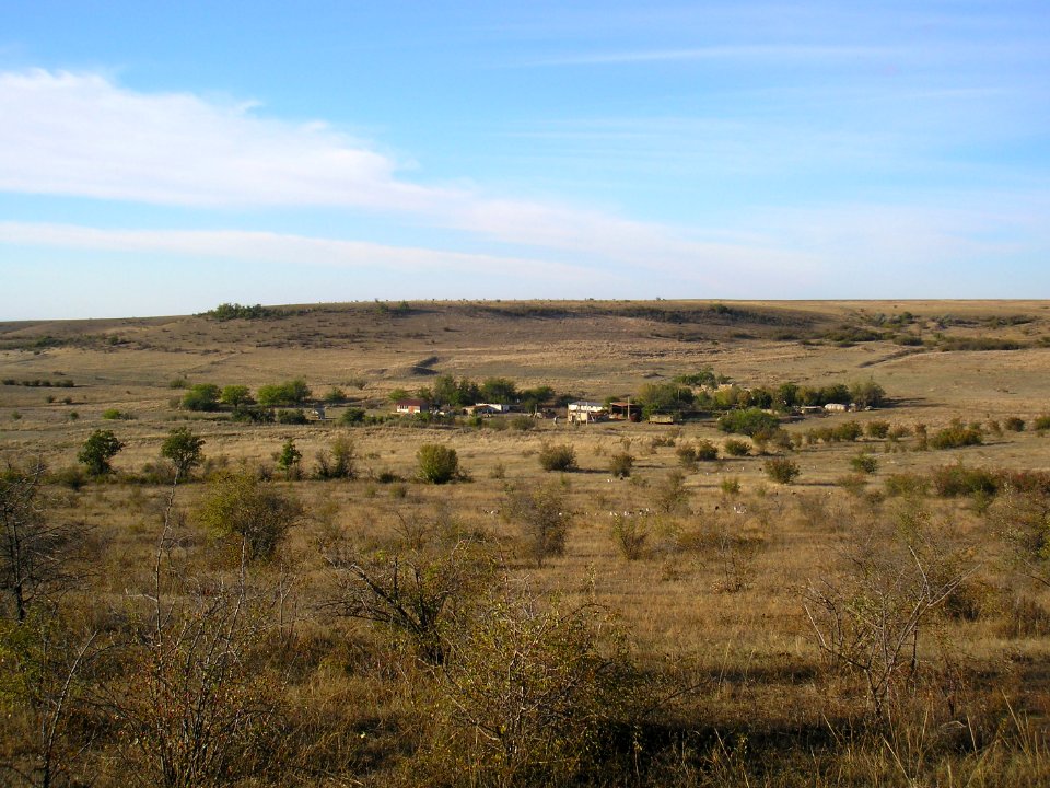 Kodzuk Ely 2