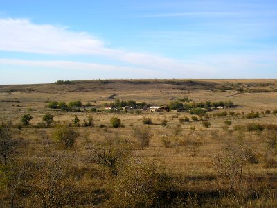 Kodzuk Ely 2
