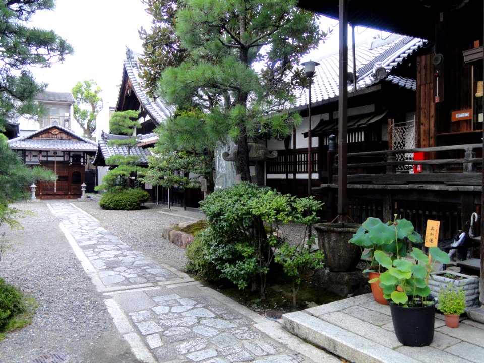 Kodo (Gyogan-ji) - Kyoto - DSC05854