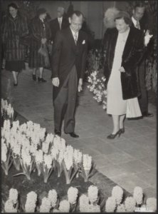 Koninklijk huis, koninginnen, bezoeken, tentoonstellingen, bloemen, Flora 1953, , Bestanddeelnr 014-1290
