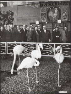 Koninklijk huis, bezoeken, tentoonstellingen, flamingo's, Juliana, koningin, Bestanddeelnr 015-0062
