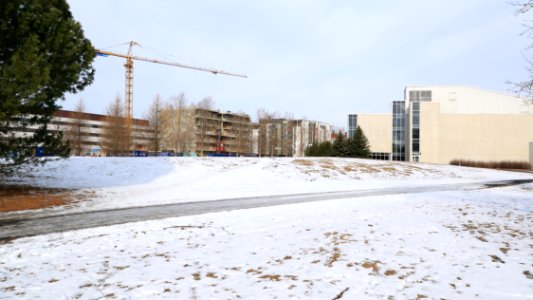 Kollaanpuisto Oulu 20200407