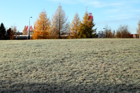 Kollaanpuisto Oulu 20171023