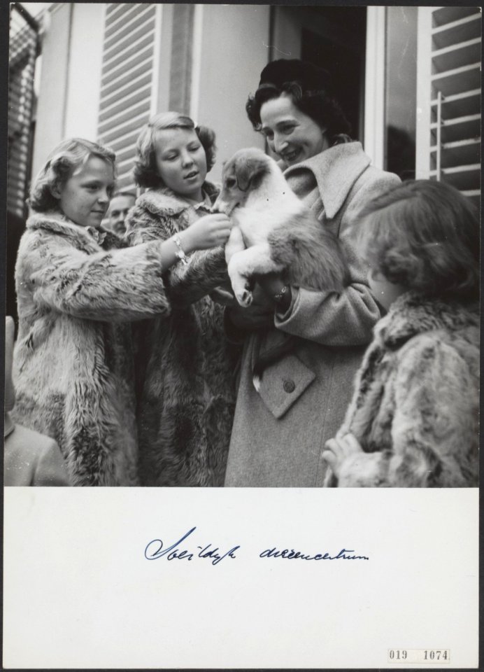 Koninklijk huis, prinsessen, honden, Beatrix, prinses, Irene, prinses, Margriet,, Bestanddeelnr 019-1074