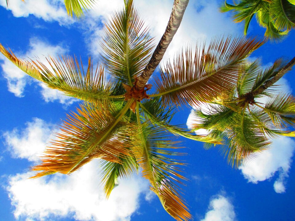 Cloud caribbean island