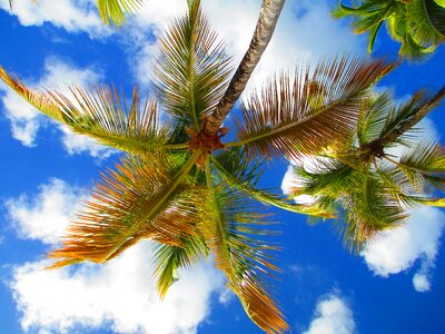 Cloud caribbean island photo