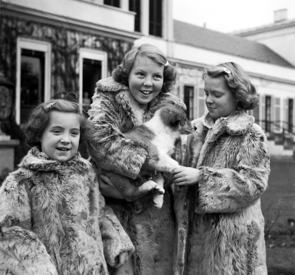 Koninklijk gezin op Soestdijk met hondje buiten, Bestanddeelnr 904-2781
