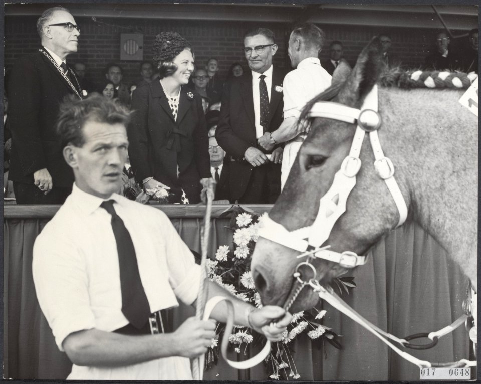 Koninklijk huis, prinsessen, bezoeken, paarden, Beatrix, prinses, Comtesse, Vere, Bestanddeelnr 017-0648