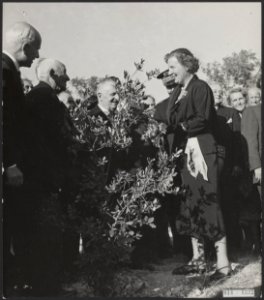 Koninklijk huis, koninginnen, bezoeken, bomen, Juliana, koningin, Bestanddeelnr 014-1332