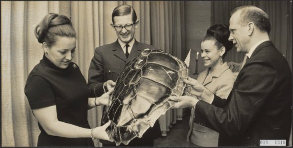 Koninklijk huis, prinsen, prinsessen, geschenken, ministers, Haseth P.C.d., Jonc, Bestanddeelnr 018-1310