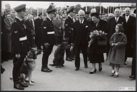 Koninklijk huis, prinsessen, koninginnen, demonstraties, honden, politie, Christ, Bestanddeelnr 019-0462