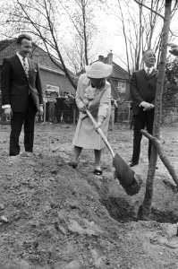 Koningin Juliana schept aarde in het gat voor een pas geplante boom, Bestanddeelnr 924-4823