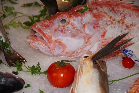 Street market delicious fish photo