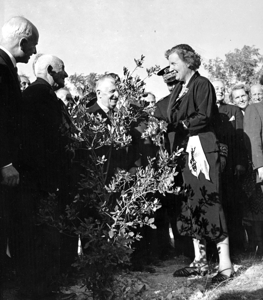 Koningin Juliana tijdens haar bezoek aan Orange in Frankrijk Eikenboompje gepla, Bestanddeelnr 006-1318