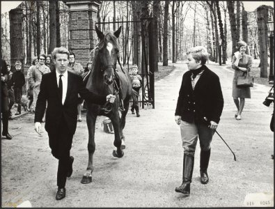 Koninklijk huis, paarden, ruiters, Gorel A, Meewis Mw D, Bestanddeelnr 018-0265