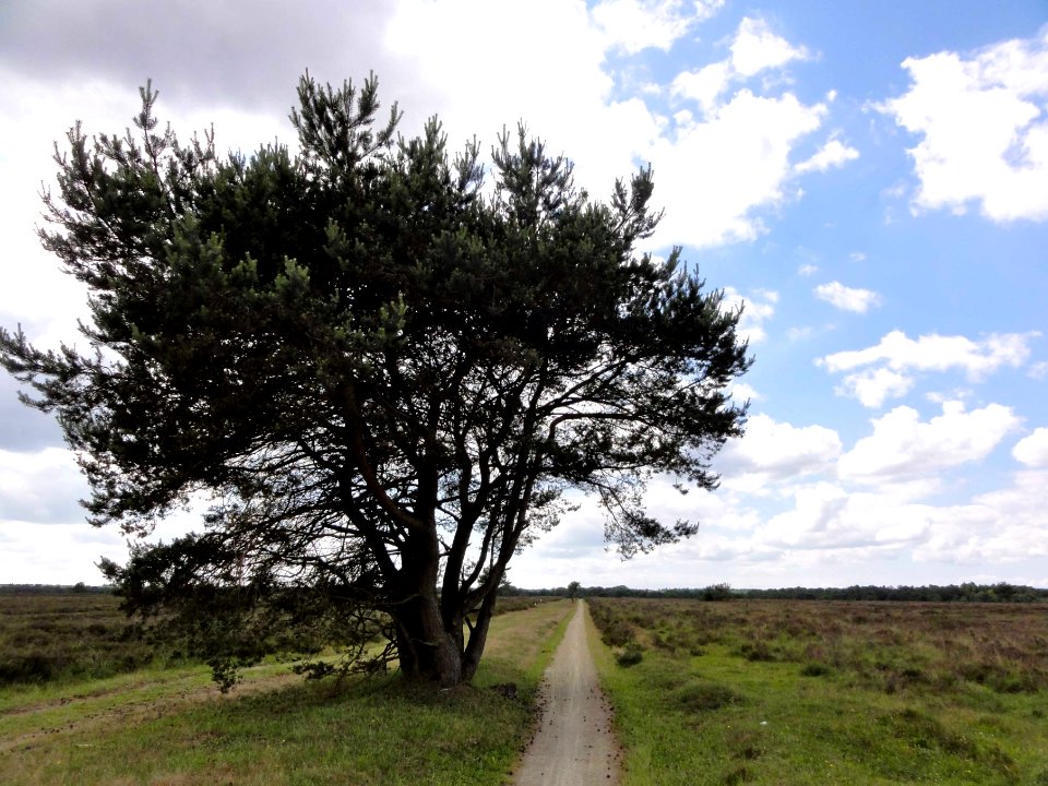Koningsweg Speulderveld
