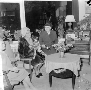 Koningin Juliana opent zusterhuis te Austerlitz, Bestanddeelnr 917-0699