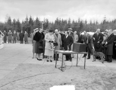 Koningin Juliana stelt de radiotelescoop in Dwingeloo in gebruik, Bestanddeelnr 907-6955
