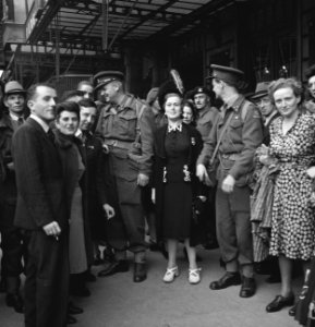 Koninklijke Nederlandse Prinses Irene Brigade in Brussel. Nederlandse officieren, Bestanddeelnr 934-9716