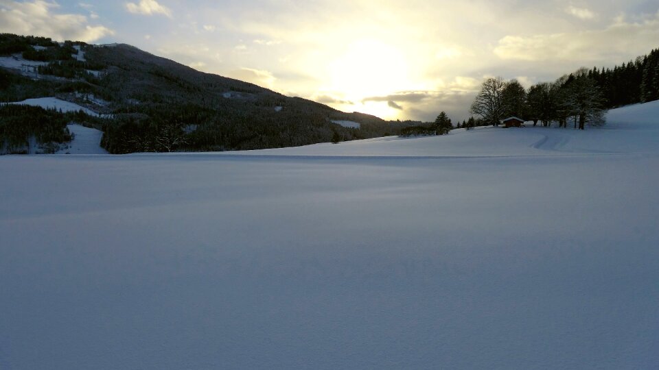 Wintry nature cold photo