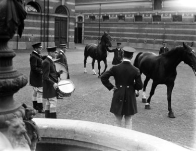 Koninklijks Stallen te Den Haag. Paarden worden aan muziek gewend., Bestanddeelnr 902-8926
