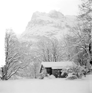 Koninklijk bezoek aan Grindelwald, plaatjes van Grindelwald, Bestanddeelnr 906-2235