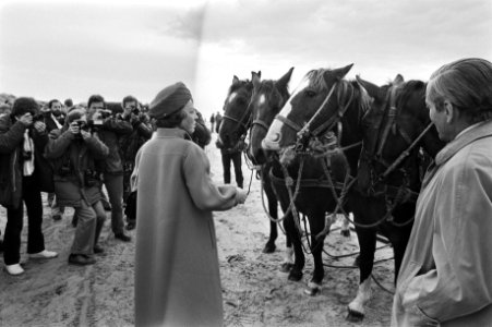 Koninklijk bezoek aan de waddeneilanden. Op het strand bij Hollum (Am) tijdens e, Bestanddeelnr 931-7415
