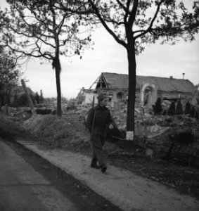 Koninkijke Nederlandse Prinses Irene Brigade in Nederland soldaat loopt door ee, Bestanddeelnr 934-9736