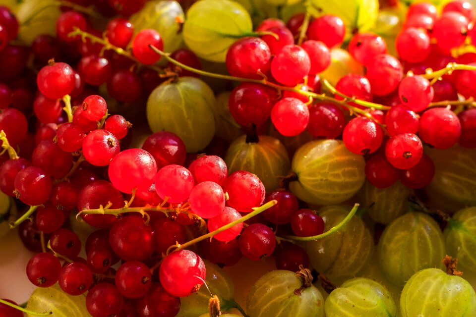 Vitamins gooseberries nature