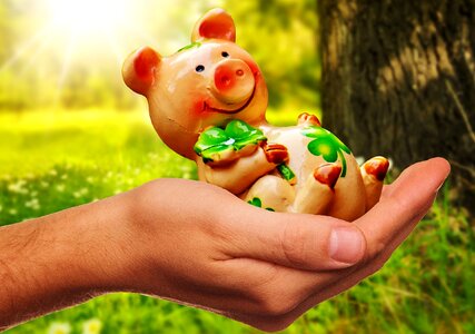 Lucky pig congratulations figure