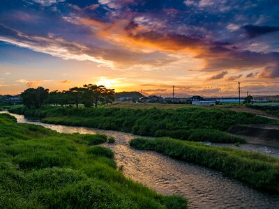Sunset river grass