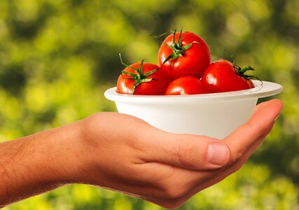 Food delicious red