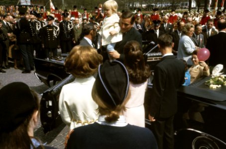 Koninginnedag rijtoer van Koninklijke Familie, Bestanddeelnr 254-8499