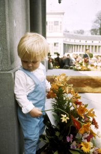 Koninginnedag Prins Willem Alexander, Bestanddeelnr 254-8475
