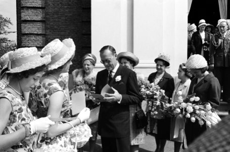 Koninklijk bezoek aan Haarlem (Haarlemse bloemenmeisjes bieden bloemen aan), Bestanddeelnr 913-9026